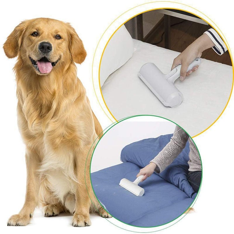 Cleanoutouâą - Rouleau anti - poils chien - Canin & Compagnie