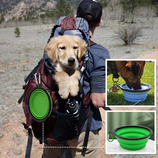 Gamelle Pliable | CompactBowl™, idéale pour les déplacements - Canin & Compagnie