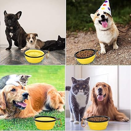 Gamelle Pliable | CompactBowl™, idéale pour les déplacements - Canin & Compagnie