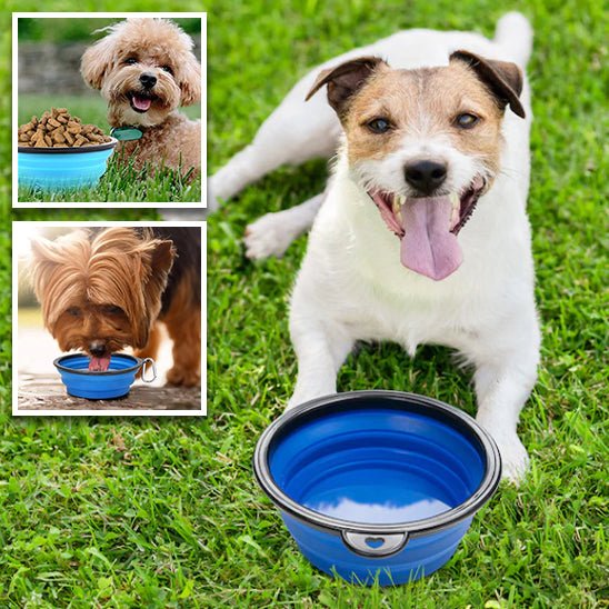 Gamelle Pliable | CompactBowl™, idéale pour les déplacements - Canin & Compagnie