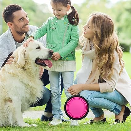 Gamelle Pliable | CompactBowl™, idéale pour les déplacements - Canin & Compagnie