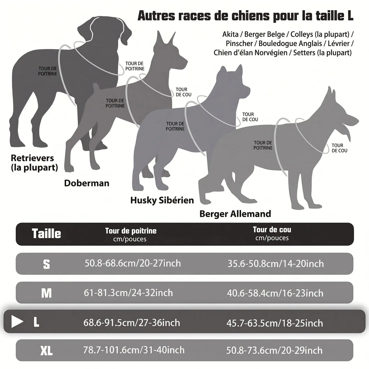 Harnais chien | Confort Sécurité