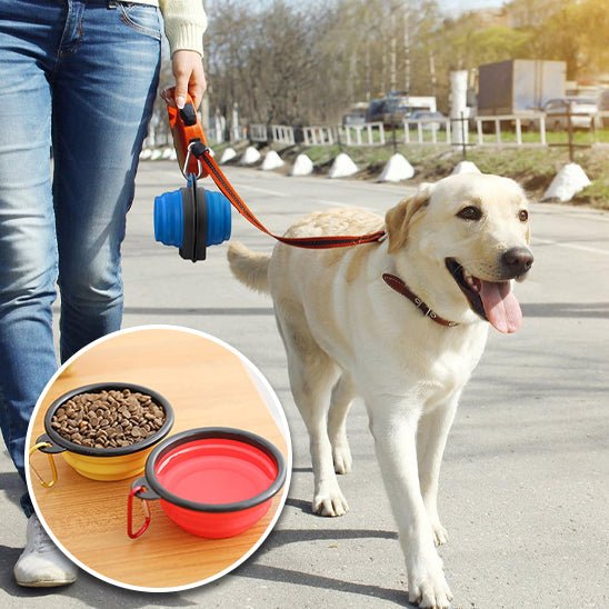 Gamelle Pliable | CompactBowl™, idéale pour les déplacements - Canin & Compagnie