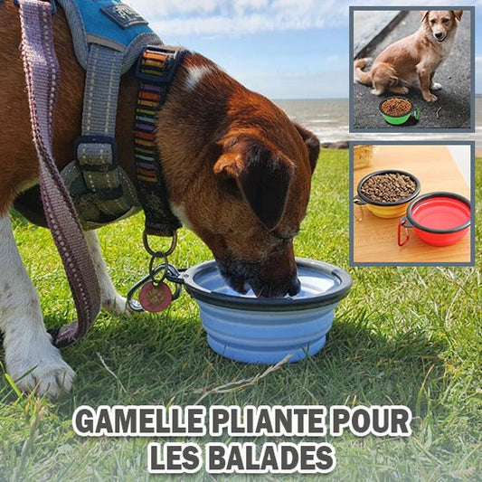 Gamelle Pliable | CompactBowl™, idéale pour les déplacements - Canin & Compagnie