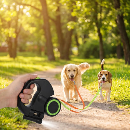 laisse double pour chien noir promenade