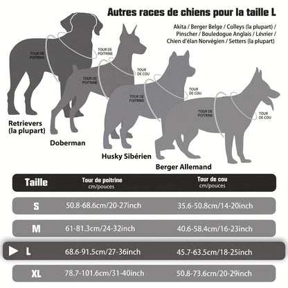 Harnais chien | Confort Sécurité
