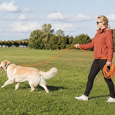 Longe pour Chien orange marche au parc