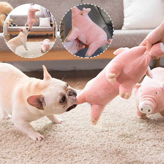 Peluche pour Chien|cochon™ - Canin & Compagnie