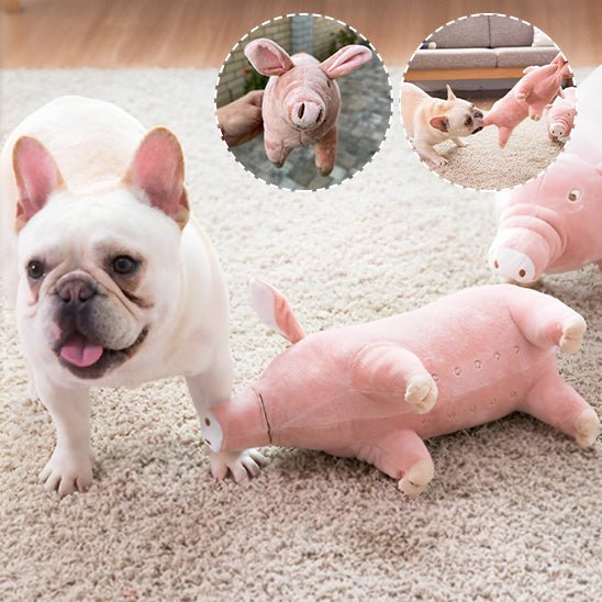 Peluche pour Chien|cochon™ - Canin & Compagnie