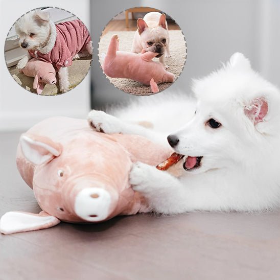 Peluche pour Chien|cochon™ - Canin & Compagnie