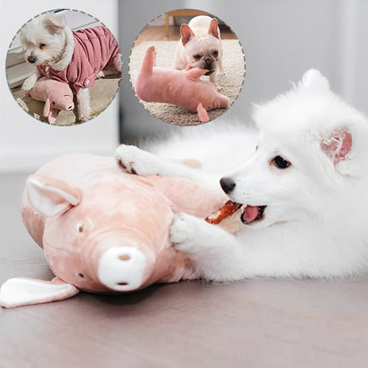 Peluche pour Chien|cochon™ - Canin & Compagnie