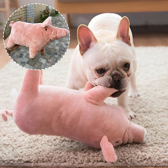 Peluche pour Chien|cochon™ - Canin & Compagnie