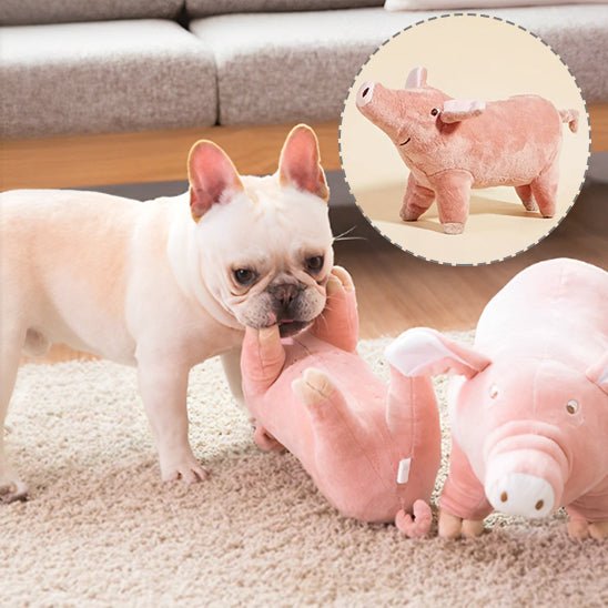 Peluche pour Chien|cochon™ - Canin & Compagnie