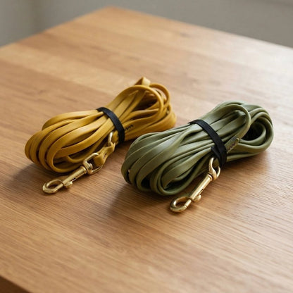 présentation Longe pour Chien vert et jaune