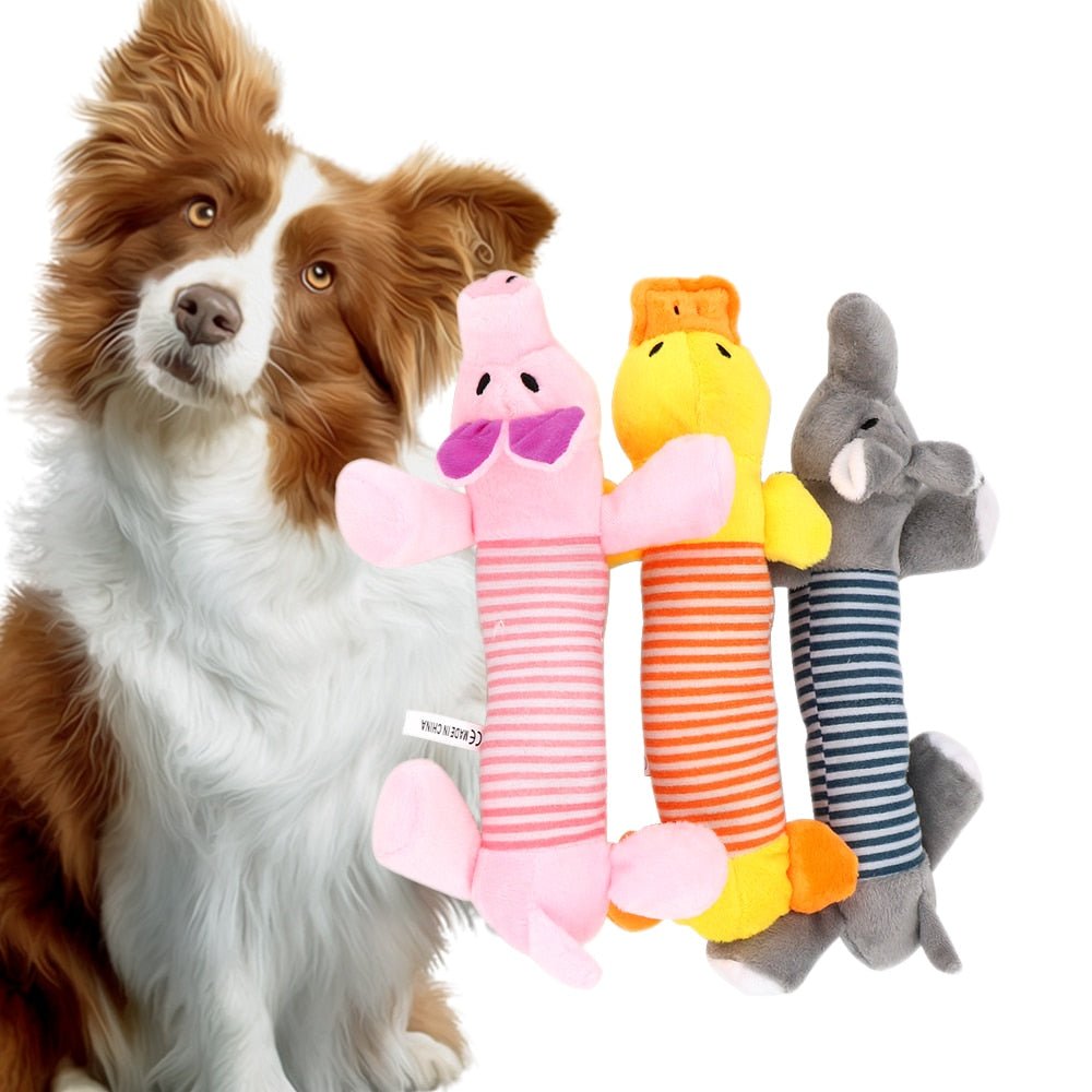 SoundToys™ - Jouet peluche pour chiens - Canin & Compagnie